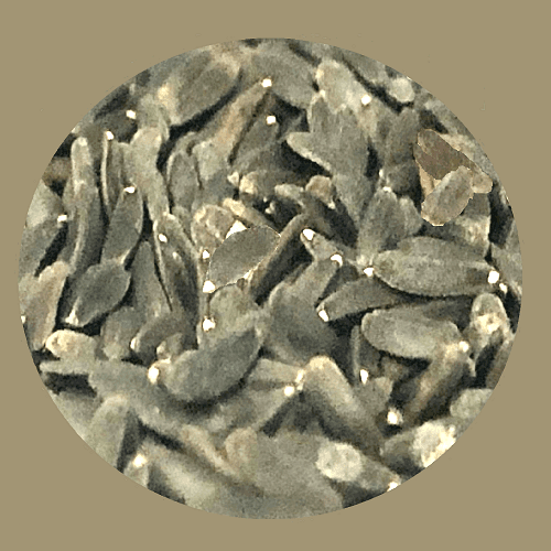 Basil Seeds 240g